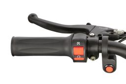 Nitro Motors E-QUAD Anaconda VX 800W 36V12Ah Lithium 6-Zoll Offroad Produktbild