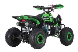 MRM Quad ATV Speedy 125ccm 4-Takt 7-Zoll Automatik Offroad Produktbild