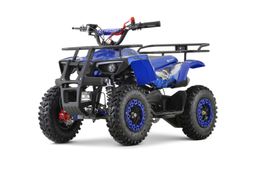 NITRO MOTORS 49ccm mini Kinder Quad Dusty Snowy-Profile L Sport 6-Zoll Offroad Produktbild