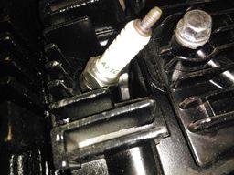 Motor 125ccm Automatik 1P54FMI PZ19 Vergaser Produktbild