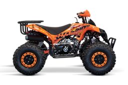 NITRO MOTORS 125ccm Kinder Quad Warrior 3G8 8-Zoll Sport Offroad Produktbild