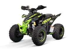 NITRO MOTORS 250ccm maxi Quad Celavi RS10 4-Gang Manuell Platin offroad Grün Produktbild