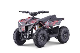 Nitro Motors E-QUAD Anaconda VX 800W 36V12Ah Lithium Offroad Schwarz Produktbild