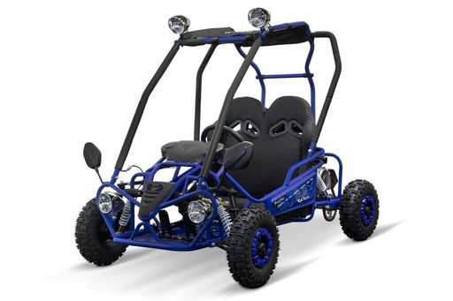 NITRO MOTORS Mini Buggy 50ccm Automatik E-Start 6-Zoll Offroad Kinderbuggy
