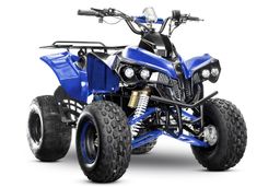 NITRO MOTORS 1000W Eco midi Kinder Quad Warrior Sport 8-Zoll Offroad Produktbild