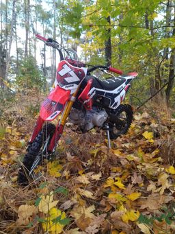 Pitbike Dirbike MRM 190 BEAST MiniRocket 190ccm 4-Takt 5-Gang 17|14 Zoll Offroad Produktbild