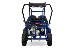 NITRO MOTORS Mini Buggy 50ccm Automatik E-Start 6-Zoll Offroad Kinderbuggy Produktbild