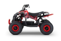 NITRO Motors E-QUAD 1200W 48V Avenger Sport 6-Zoll Offroad Produktbild