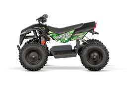 Nitro Motors E-Quad Anaconda VX 1000W 36V 12Ah Lithium 6-Zoll Grün Produktbild