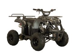 Quad ATV Toronto Deluxe Carbon 125ccm 7-Zoll Alufelgen Automatik Offroad Produktbild