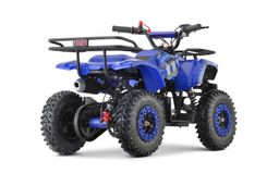 NITRO MOTORS 49ccm mini Kinder Quad Dusty Snowy-Profile L Sport 6-Zoll Offroad Produktbild