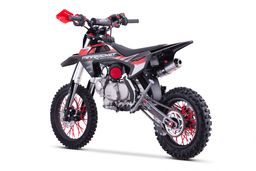 Pitbike Crossbike Dorado DT125 4T 14|12 Zoll 4G Automatik Motocross Offroad Schwarz Produktbild