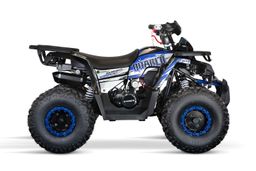 NITRO MOTORS 125ccm Midi Kinder Quad Quablo Turbo RS8-3G Platin 8-Zoll Produktbild