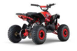 NITRO Motors E-QUAD 1200W 48V Avenger Sport 6-Zoll Offroad Produktbild