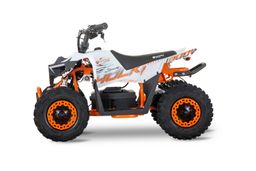 Nitro Motors 1000W 36V Eco Kinder Quad HULKI Sport 6-Zoll Produktbild