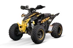 NITRO MOTORS 250ccm maxi Quad Celavi RS10 4-Gang Manuell Platin offroad Gelb Produktbild