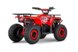 NITRO E-QUAD NERINO 1200W 48V mit BTF2 Reifen Produktbild