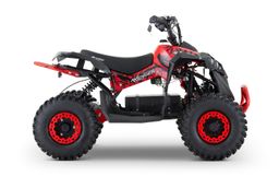 NITRO Motors E-QUAD 1200W 48V Avenger Sport 6-Zoll Offroad Produktbild