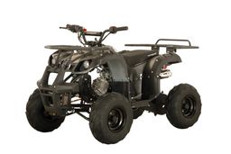 Quad ATV Toronto Deluxe Carbon 125ccm 7-Zoll Alufelgen Automatik Offroad Produktbild
