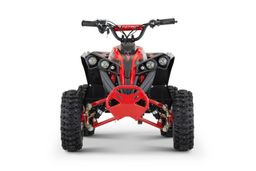 NITRO Motors E-QUAD 1200W 48V Avenger Sport 6-Zoll Offroad Produktbild