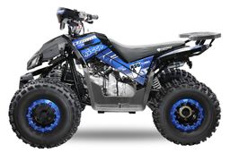 NITRO MOTORS 125ccm Kinder Quad Rizzo RS8-A Platin Automatik 8-Zoll Offroad Produktbild