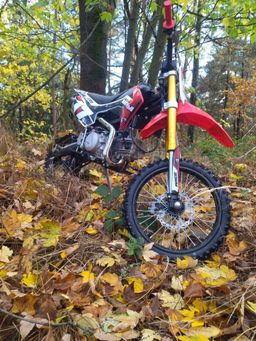 Pitbike Dirbike MRM 190 BEAST MiniRocket 190ccm 4-Takt 5-Gang 17|14 Zoll Offroad Produktbild