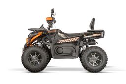 NITRO MOTORS 230ccm maxi Quad Tricia CVT RS10 Platin inkl. Seilwinde Offroad Produktbild