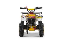 Nitro Motors 49ccm mini Kinder Quad Torino Graffity Sport 6-Zoll Offroad Produktbild